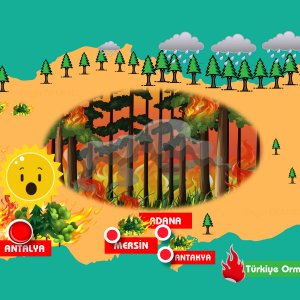 Türkiye orman yangınları haritası