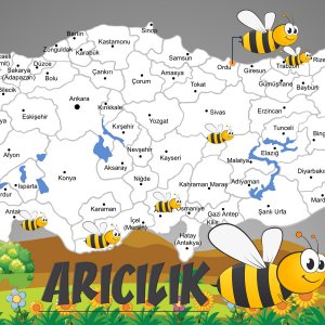 Arıcılık.jpg