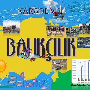 Balıkçılık.jpg