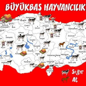 büyükbaş hayvancılık haritası.jpg