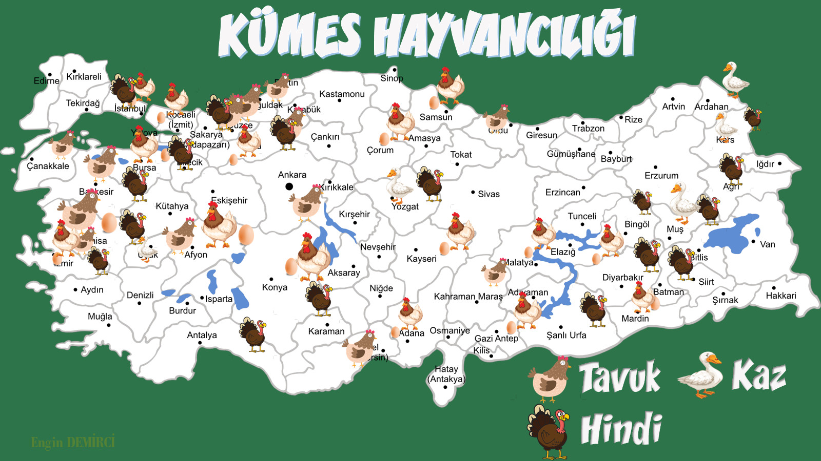 kümes hayvancılığı.jpg